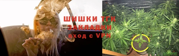 соль ск Абаза