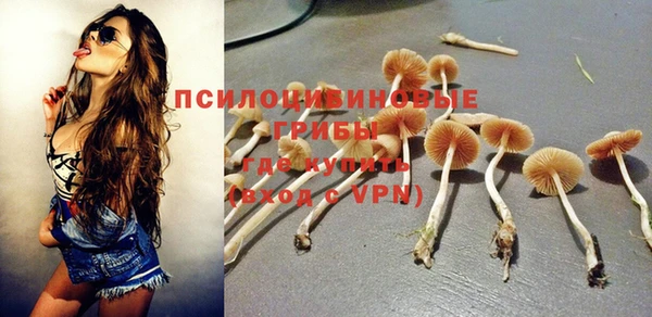 соль ск Абаза