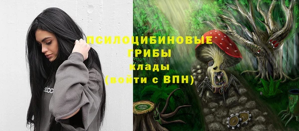 мяу мяу мука Абинск