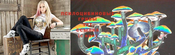 соль ск Абаза
