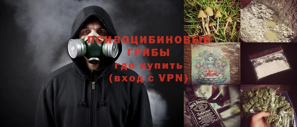 соль ск Абаза