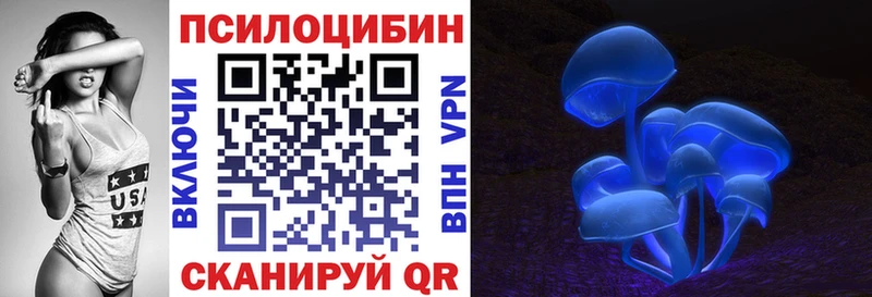 купить наркотики цена  Кадников  Псилоцибиновые грибы прущие грибы 